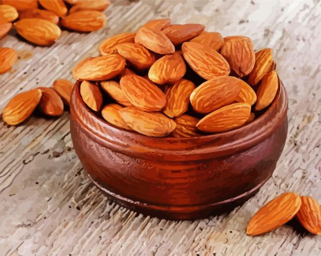 Almonds In Bowl Painting By Numberss.png