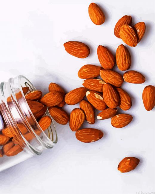 Almonds In Jar Painting By Numberss.png