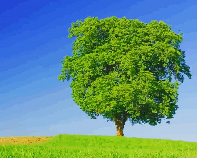 Amazing View Big Green Tress New Painting By Numberss.png