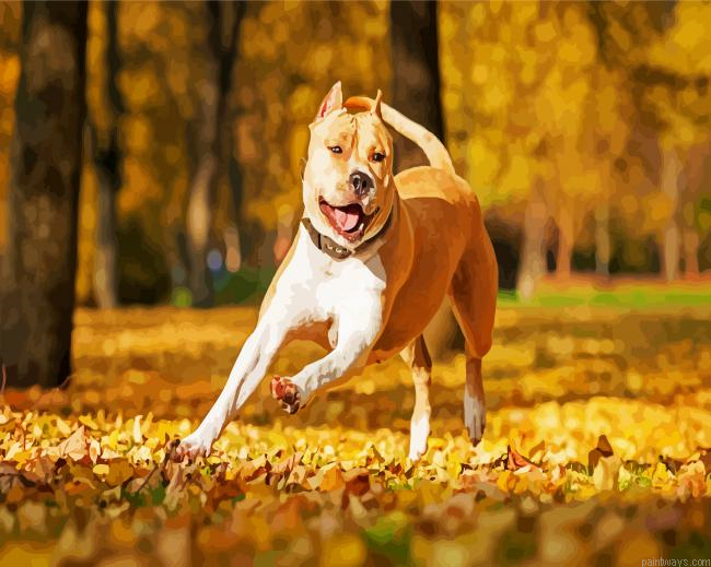 American Staffordshire On Leaves Painting By Numberss.png