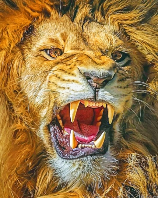 Angry Lion Animals Painting By Numberss.png