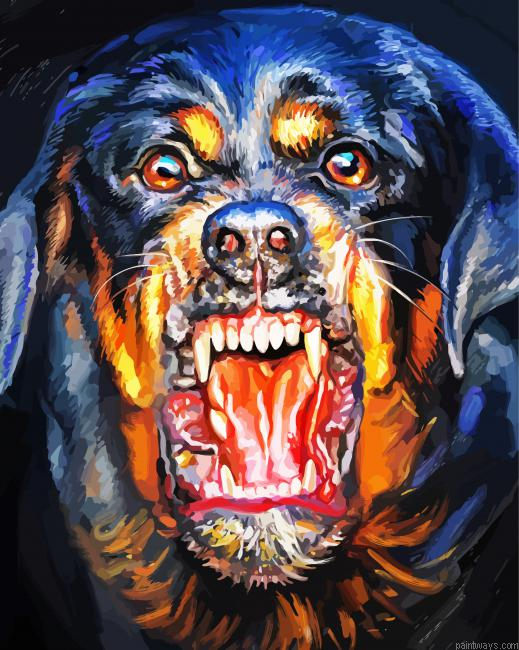 Angry Rottweiler Dog Painting By Numberss.png