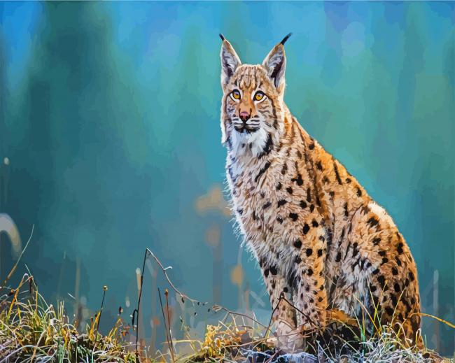 Animal Lynx Painting By Numberss.png