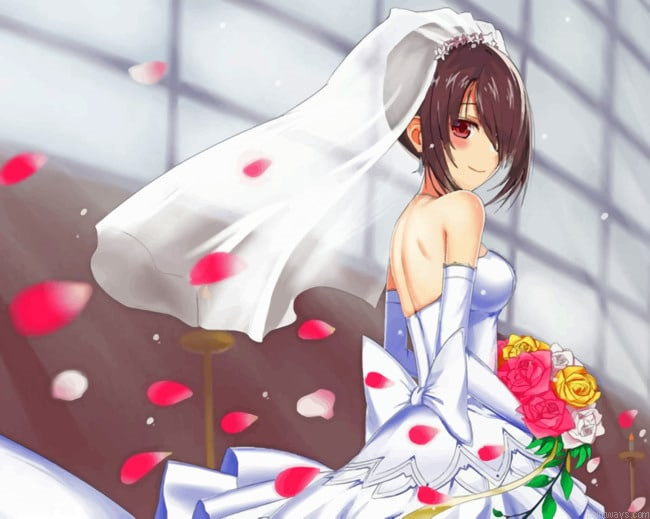 Anime Bride Painting By Numberss.png