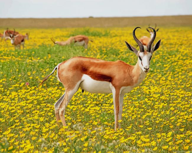 Antelope In Nature New Painting By Numberss.png