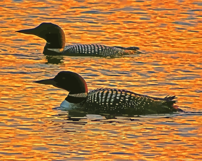 Aquatic Loons At Sunset Painting By Numberss.png