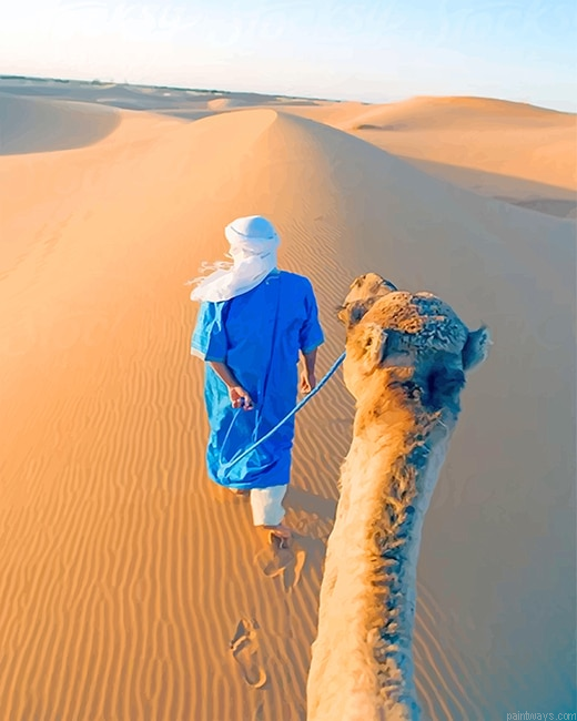 Arabic Desert New Painting By Numberss.png