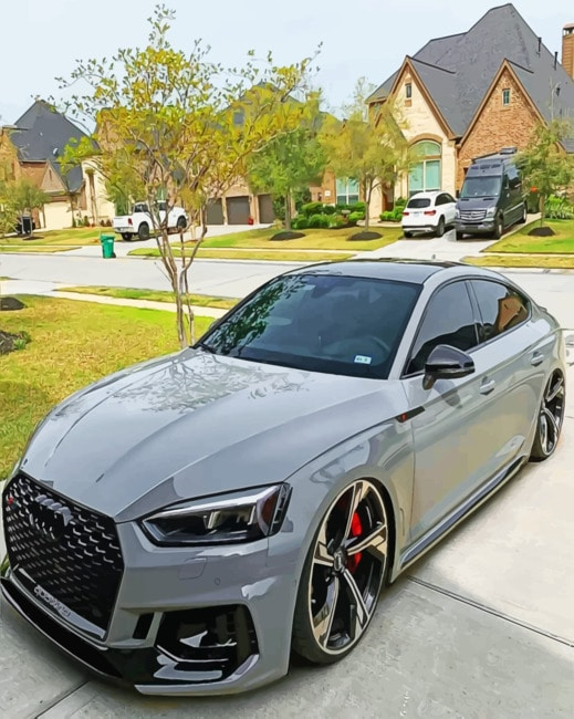 Audi Rs5 Cars Painting By Numberss.png