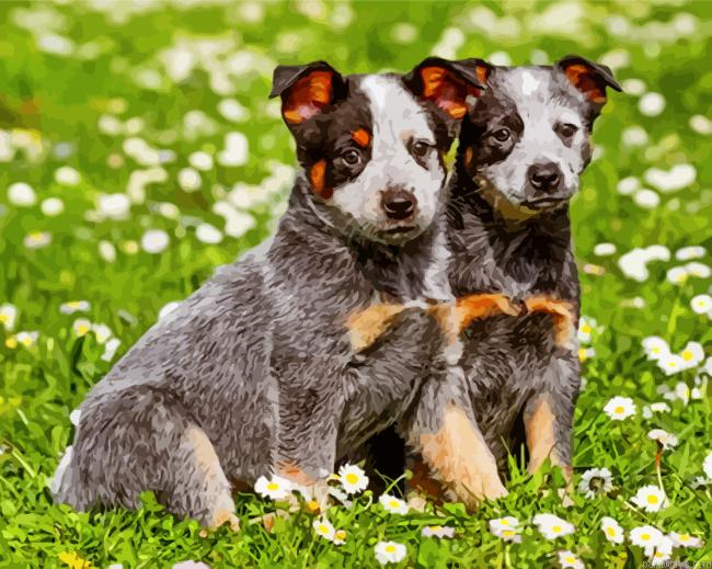 Australian Cattle Dogs Painting By Numbers.png