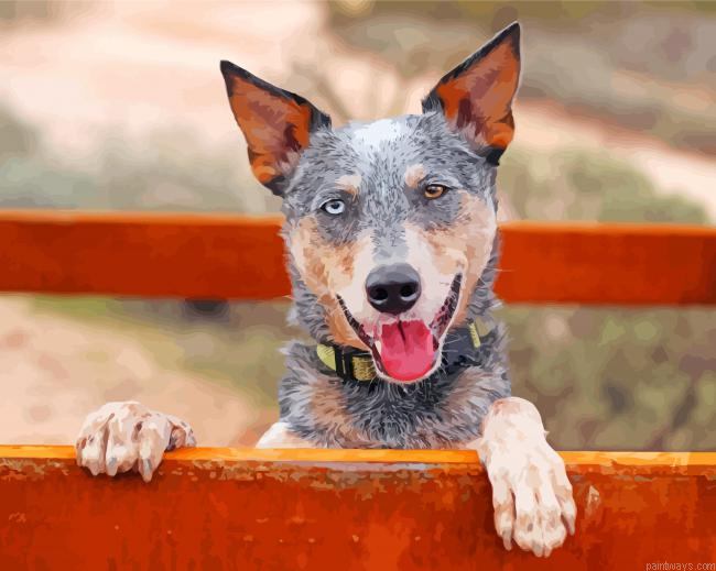 Australian Heeler Painting By Numbers.png