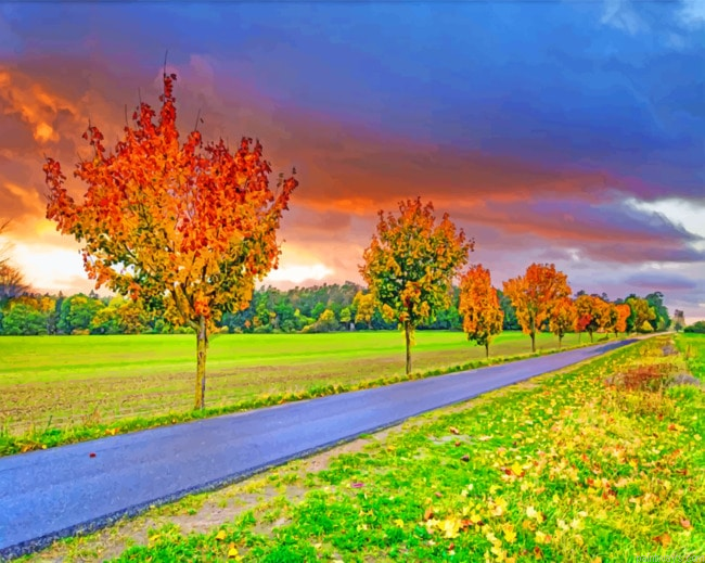 Autumn Field Road Landscapes Painting By Numberss.png