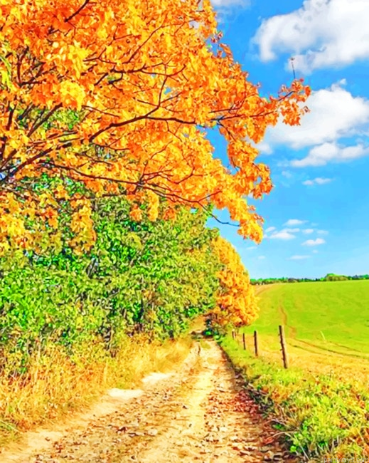 Autumn Landscape Fall Painting By Numberss.png