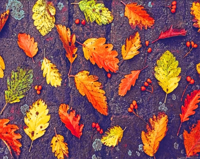Autumn Leaves Painting By Numberss.png