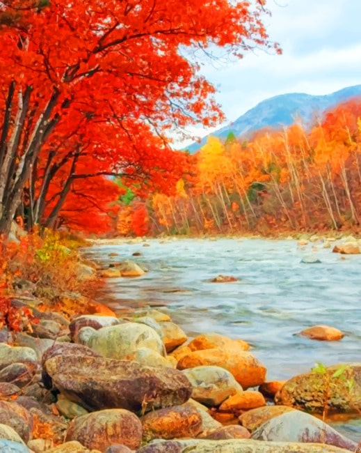 Autumn Scenery Nature Fall Painting By Numberss.png