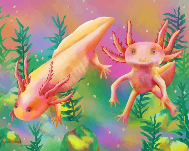 Axolotl Amphibian Painting By Numberss.png