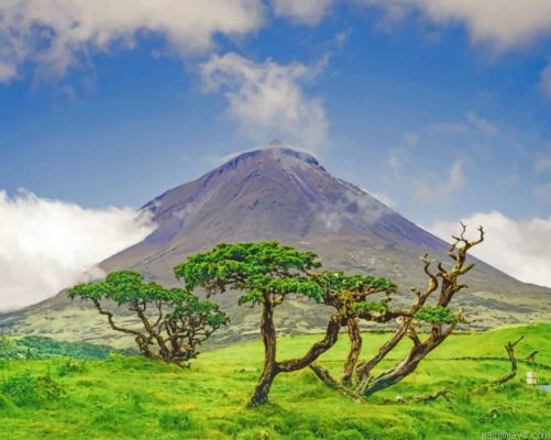 Azores Island Painting By Numbers.png