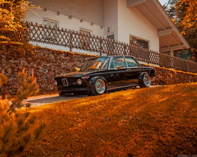 Bmw In Front Of The House New Painting By Numberss.png