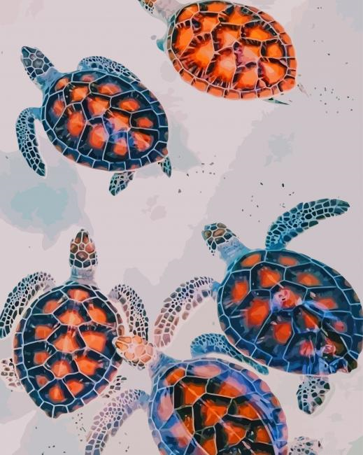 Baby Turtles New Painting By Numberss.png