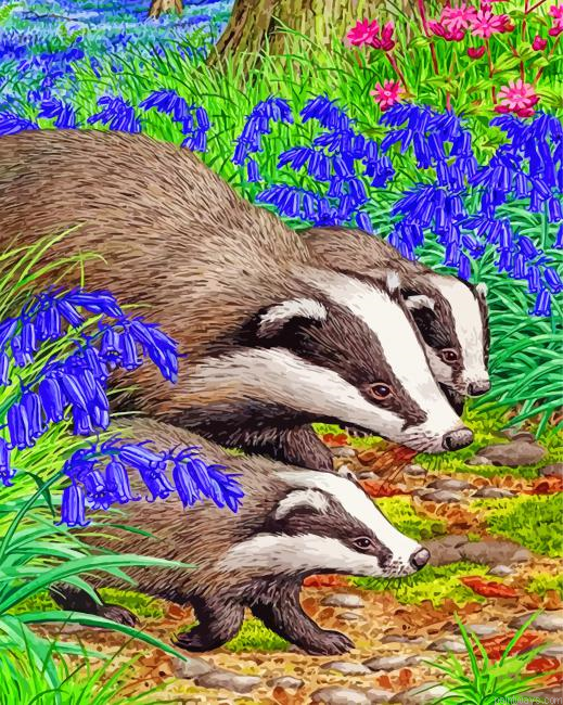 Badgers Animals Painting By Numbers.png