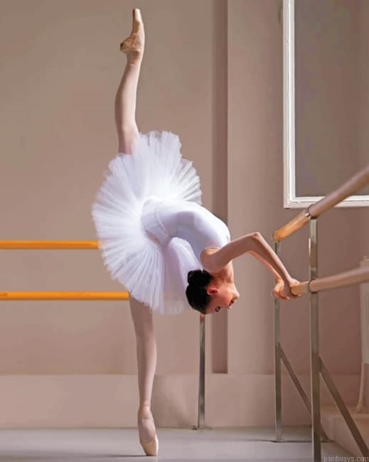 Ballet Dancer Pose Painting By Numberss.png