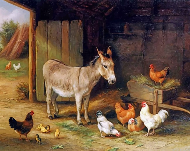 Barn Animals New Painting By Numberss.png