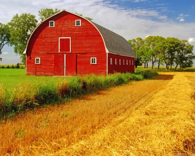 Barn Field New Painting By Numberss.png