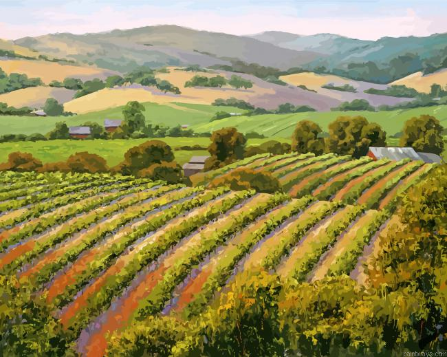 Barossa Vineyard Painting By Numberss.png