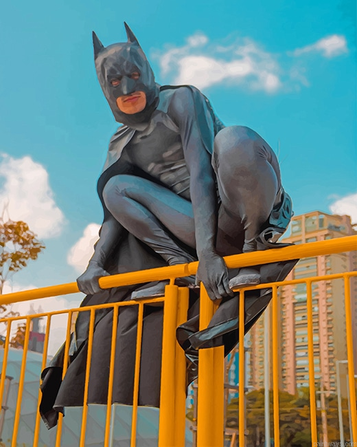 Batman Cosplay New Painting By Numberss.png