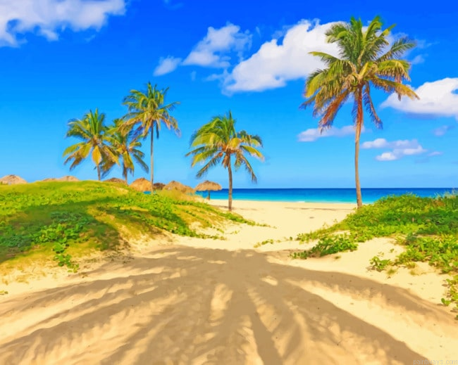 Beach Palm Trees Beaches Painting By Numberss.png