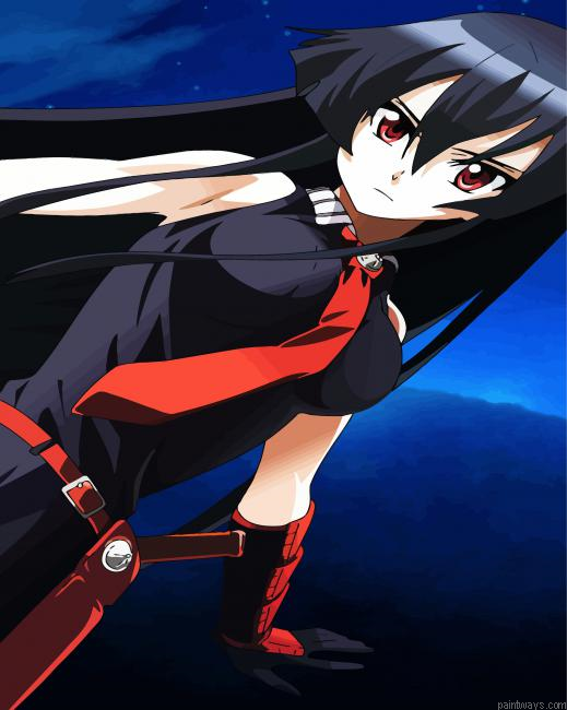 Beautiful Akame Painting By Numberss.png