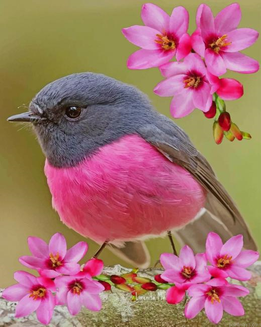 Beautiful Bird New Painting By Numberss.png