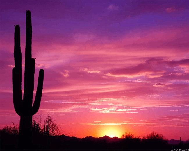 Beautiful Cactus Sunset New Painting By Numberss.png