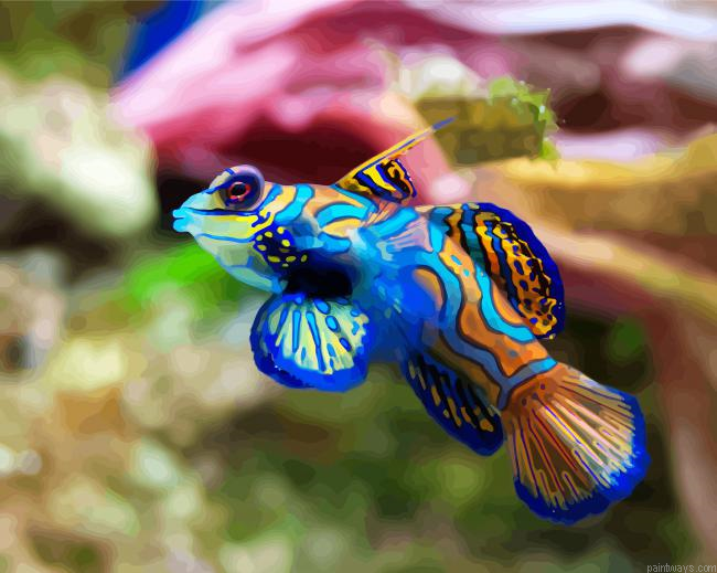 Beautiful Colorful Fish Painting By Numberss.png