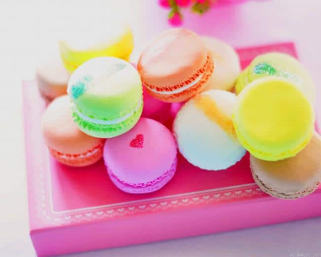 Beautiful Colorful Macarons New Painting By Numberss.png