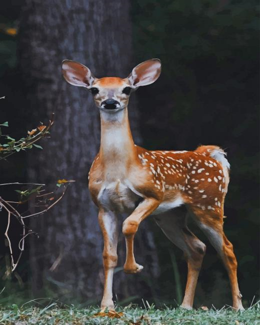 Beautiful Deer New Painting By Numberss.png