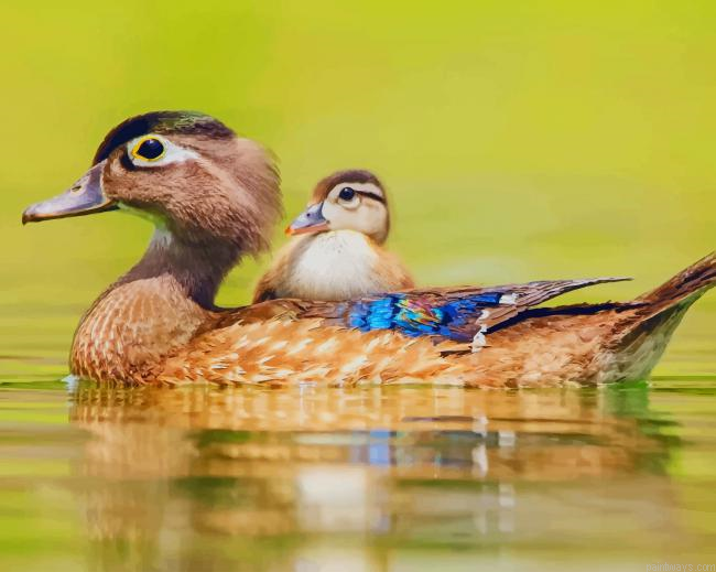 Beautiful Ducks New Painting By Numberss.png