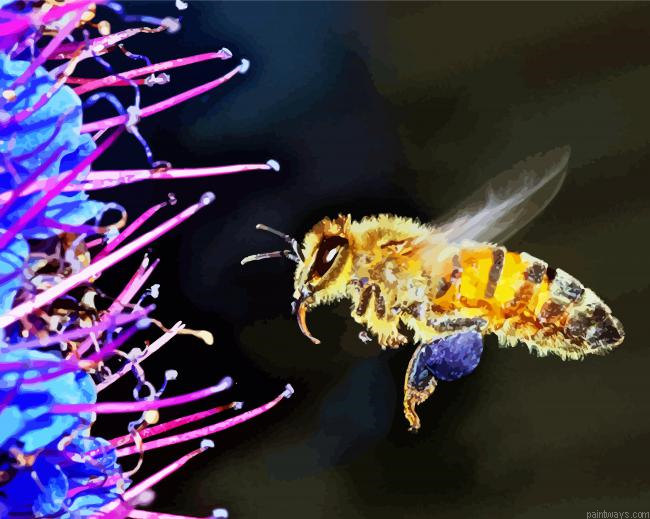 Beautiful Flower With Bee Painting By Numberss.png