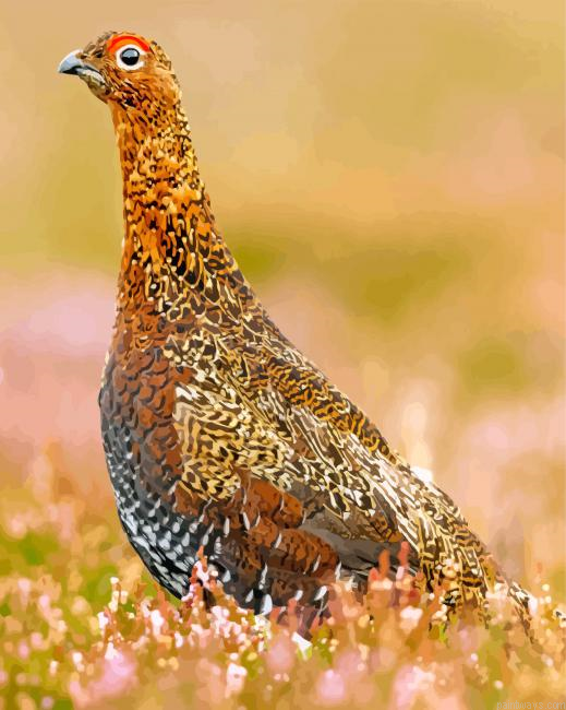 Beautiful Grouse Painting By Numberss.png