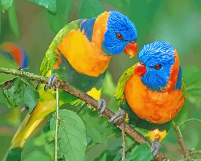 Beautiful Lorikeet Birds Painting By Numberss.png