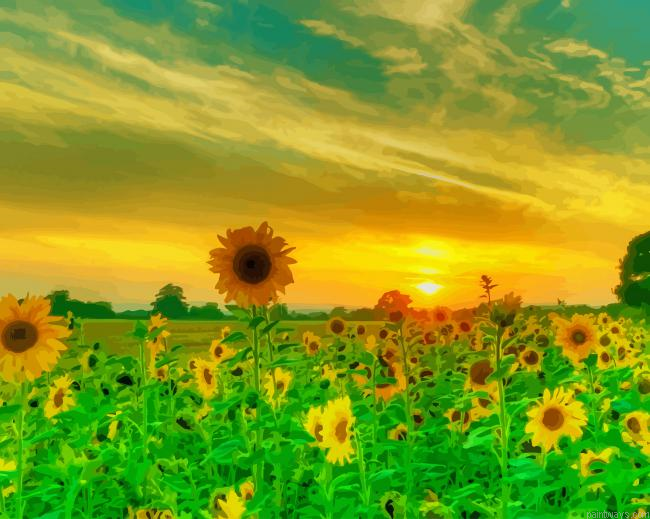 Beautiful Nature Sunflowers New Painting By Numberss.png