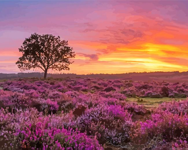 Beautiful New Forest Park National Painting By Numberss.png