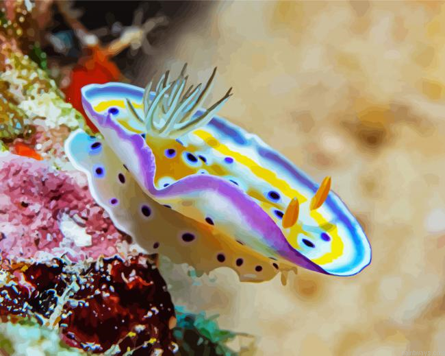 Beautiful Nudibranch Painting By Numberss.png