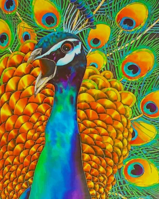 Beautiful Peacock New Painting By Numberss.png