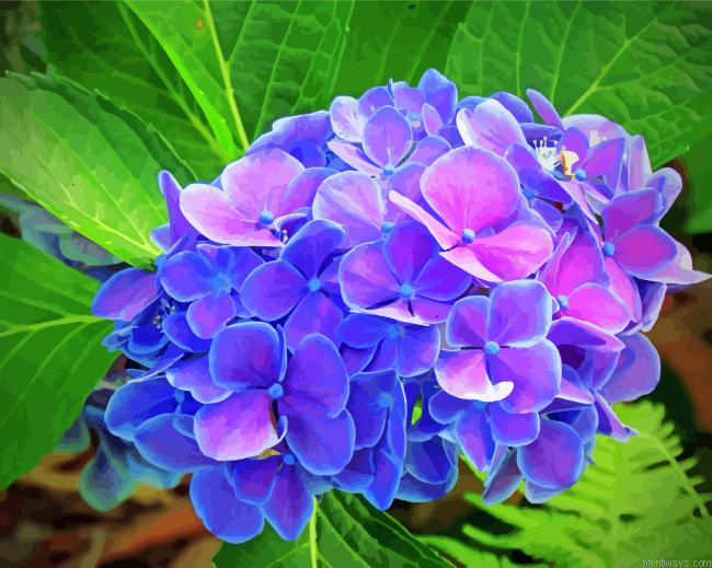 Beautiful Purple Hydrangeas Painting By Numberss.png