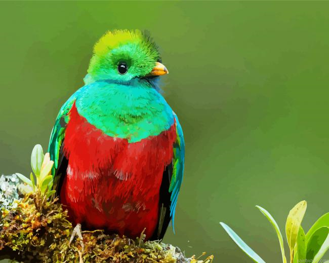 Beautiful Quetzal Bird Painting By Numberss.png