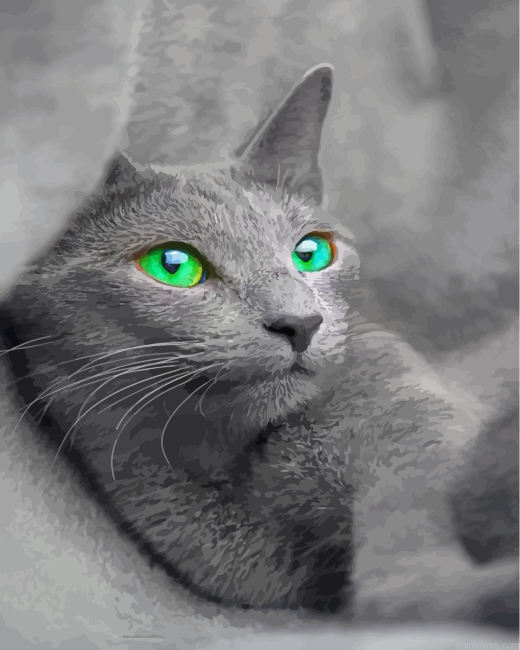 Beautiful Russian Blue Cat Painting By Numbers.png