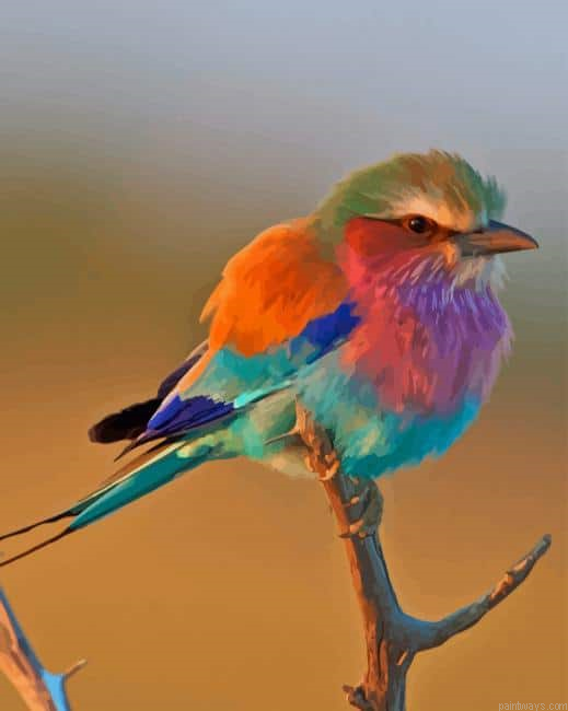 Beautiful Small Colorful Bird New Painting By Numberss.png