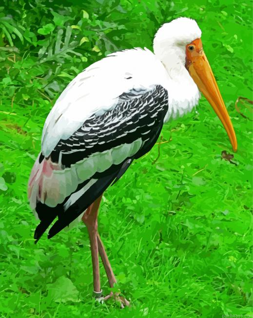 Beautiful Stork Bird Painting By Numberss.png