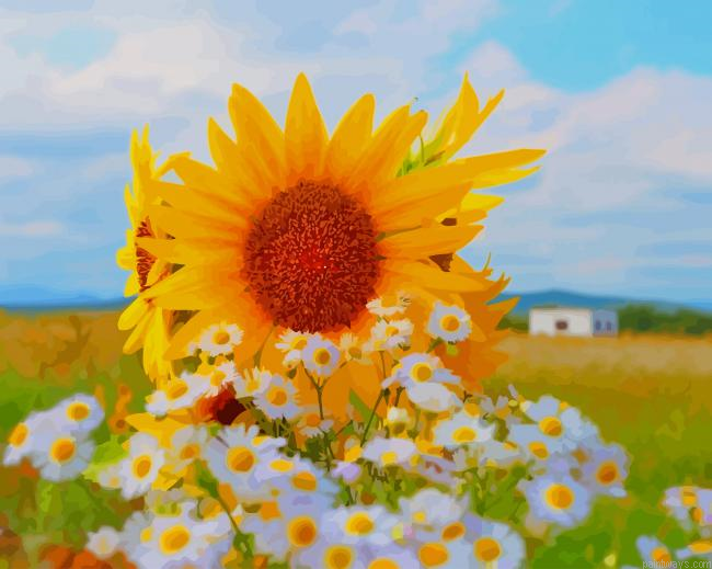 Beautiful Sunflower New Painting By Numberss.png