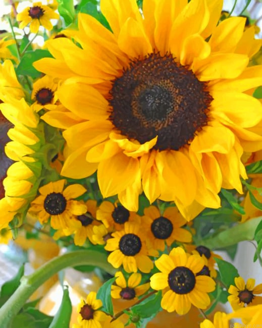 Beautiful Sunflowers Painting By Numberss.png